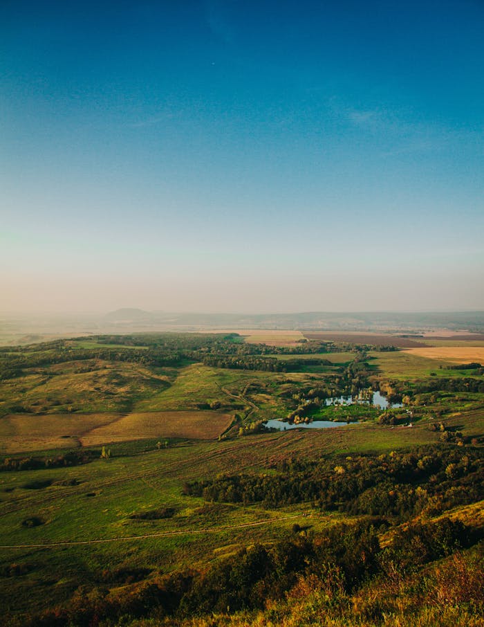 Aerial view of Bashkortostan's lush fields under a clear sky, capturing serene nature.